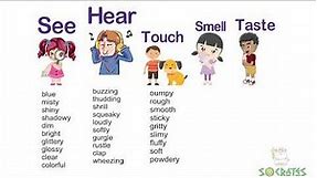 Sense Words Adjectives | Learn Adjectives 5 senses | See Hear Touch Smell Taste |