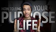 How To Find Your Life Purpose INSTANTLY!