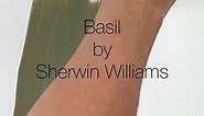 Basil by Sherwin Williams is a warm earthy green paint color. It’s a color that creates an atmosphere that’s both inviting and sophisticated. And the blue/gray undertones will complement a variety of colors and finishes in your home. So if you’re looking for timeless charm and versatility give Sherwin Williams’ Basil a try. ♥️ Do you have a paint color you would like me to review? Add it to the comments. #sherwinwilliams #paintideas #theartofcolor #powerofpaint #exteriorpaint #wallpaint #swcolor