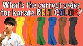 What Is The Correct Karate Belt Order? Belt Colors & Levels