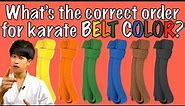 What Is The Correct Karate Belt Order? Belt Colors & Levels