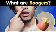 What are nose Boogers?