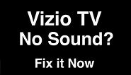 Vizio TV No Sound - Fix it Now
