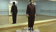 Tai Chi Chuan 24 Steps Beginners Lesson 1