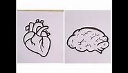 How to draw and color Heart and Brain / internal organs drawing step by step / human organs