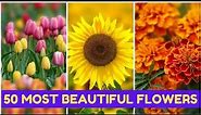 50 Most Beautiful Flowers In The World