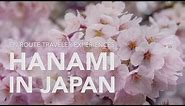 Hanami: Celebrating Japan's Cherry Blossoms