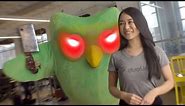 Duolingo Bird: The Movie - Official Trailer