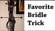 How to Figure Eight a Bridle