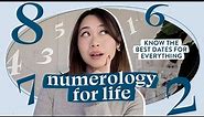 How to Use Numerology to Plan Your Life: Personal Year, Month, Day 📆