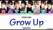 Stray Kids "Grow Up" (SKZ2020) colorcodedlyrics [Han-Rom-Eng]