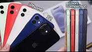 iPhone 12: All Colors In-Depth Comparison! Which is Best?