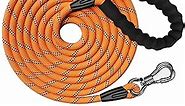 NTR 50FT Dog Long Leash, Rope Dog Leash with Swivel Lockable Hook and Comfortable Padded Handle, Dog Training Leash Lead for Walking, Hunting, Camping, Backyard for Small Medium and Large Dogs