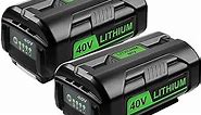 Bakipante 2Pack 6.5Ah 40V Lithium Battery Replacement for Ryobi 40V Battery Compatible with Ryobi 40 Volt Battery Cordless Power Tools OP4050A OP4040 OP4060 OP4015 OP4026 OP4030 Battery
