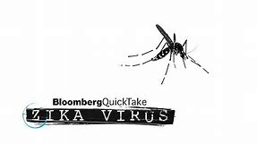 Here's How Zika Virus Spreads