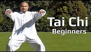 Tai chi chuan for beginners - Taiji Yang Style form Lesson 1