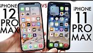iPhone 11 Pro Max Vs iPhone 12 Pro Max In 2024! (Comparison) (Review)