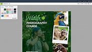 Free Online Collage Maker - Create Photo Collages | Visme