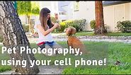 Pet Photography Using Your Cell Phone