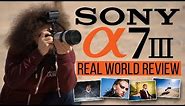 Sony a7 III Real World Review (vs Sony a7R III, Nikon D850, Canon 6D Mark II)