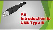 An Introduction to USB Type B | USB 101