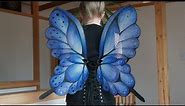 Blue Fairy Wings Timelapse