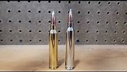 7mm Remington Magnum vs 300 Winchester Magnum