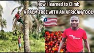 Learning How To Use an African Tool to Climb a Palm Tree 🌴|| Rural Liberia || African Heritage