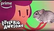 Little Big Awesome - Clip: Giant Smooshy | Prime Video Kids