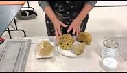 How to choose and clean a Sea Sponge