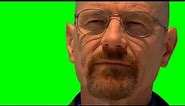 Heisenberg "Say My Name" Meme EXTENDED (GREEN SCREEN)