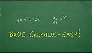 Easy Calculus Problem- Anyone Can Understand!