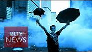 Hong Kong Protests: Why 'Umbrella Revolution'? BBC News