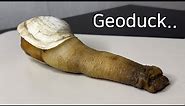 What Is So Unique About a Geoduck ? - Geoduck Dissection