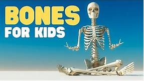 Bones for Kids | Learn about the Skeletal System for Kids