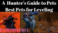 A Hunter's Guide to Pets : Best Pets for Leveling | WoW Classic Tutorial