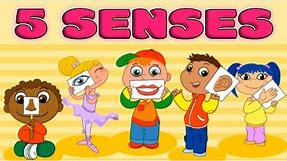 Five Senses: Taste, Smell, Sight, Hearing, Touch - Quiz for Kids