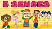 Five Senses: Taste, Smell, Sight, Hearing, Touch - Quiz for Kids