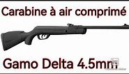 Présentation carabine à air-comprimé Gamo Delta 4.5mm