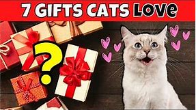 7 Gift Ideas Your Cat Will Absolutely Love