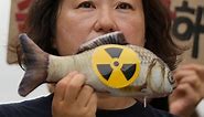 Wastewater from Fukushima nuclear plant released into the ocean