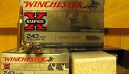 243 Winchester 100 grain Soft Point Super-X Ammo X2432 at SGAmmo.com