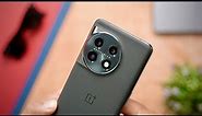 OnePlus 11 Detailed Camera Review 📸
