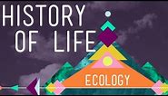 The History of Life on Earth - Crash Course Ecology #1