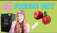 How to Freeze Dry APPLES! --- Harvest Right Freeze Dryer