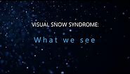 Visual Snow Syndrome: What we see