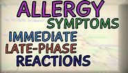 Allergic Reactions - Symptoms, Immediate and Late Phase Reactions - Phases of an Allergic Reaction