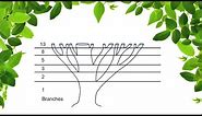How to draw a tree using the Fibonacci Sequence (Natures Numbers)