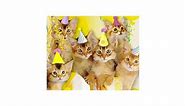 Singing Birthday Cats Ecard