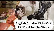 What Food Is Best for Your Dog, English Bulldog or Not!